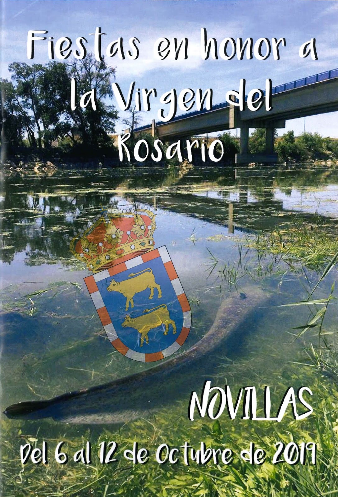 Fiestas en honor a Nuestra Señora del Rosario 2019 Novillas